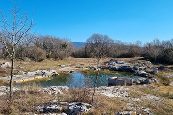 Staza kalića i bukaleta (Istra)