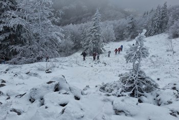 Zima u NP Sjeverni Velebit