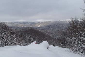 Jasenovica (Platak) - 1338 m