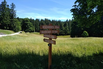 Mašun - Snežnik (SLO)