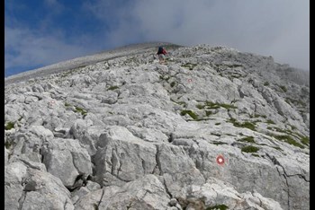 Grintovec (SLO)