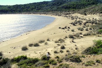 Otok Rab (eko akcija)