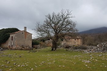 Tramuntana - Zemlja bjeloglavih supova