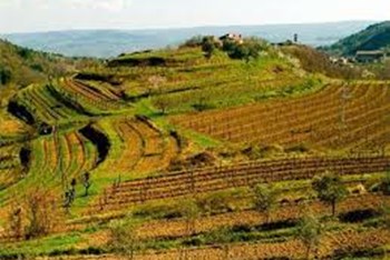 Martinje u Istri 2019.