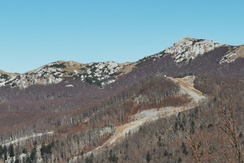 Sleme - Treska