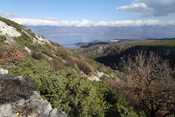 Izvor Vele Rike – Mali Hlam (446 m)