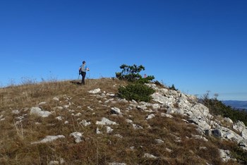 Marećica i Gomila