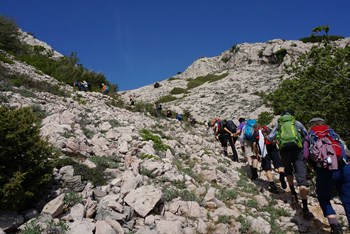 Camino Krk  (Baška - Kornić)