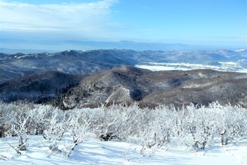 Zimski uspon na Viševicu 2024.