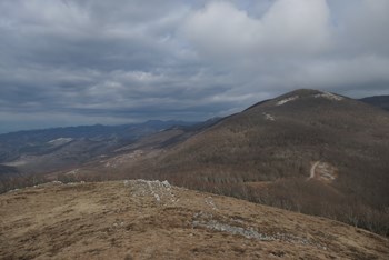 Ričičko bilo i Crni vrh