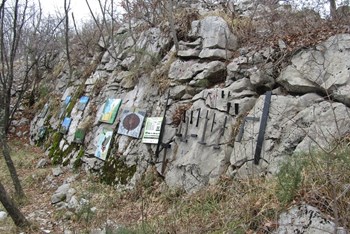 Luban, vrh Pleš (499 m), najviši riječki vrh