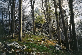 Kolovratske stijene (istočni vrh)