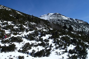 Zimski uspon na Snežnik (SLO) 2025.