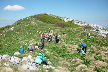 Bjelolasica u proljeće 2025.