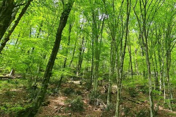 Kont - izvor Rječine 23.11.2025.