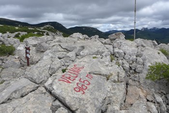 Velinac i Visibaba
