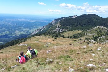 Srednječavenska pot (SLO)