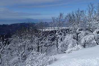 Zimski uspon na Viševicu 2020.