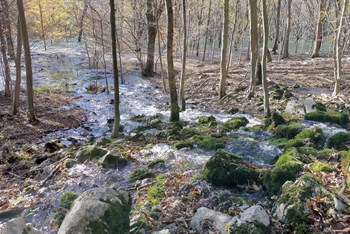 Izlet u nepoznato 2020.