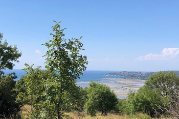 IPP (Triban - Buje - Markovac)